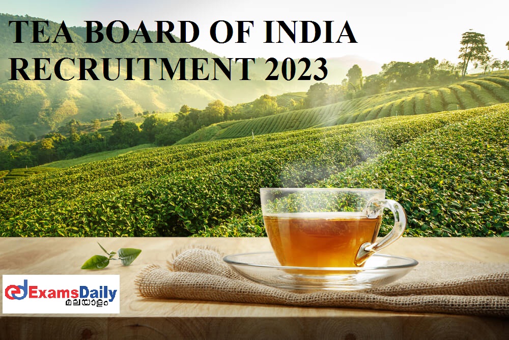 Tea Board India Recruitment 2023 - വാക്ക്-ഇൻ-ഇന്റർവ്യൂ മാത്രം || അപേക്ഷാ ഫോം ഡൗൺലോഡ് ചെയ്യുക!!!